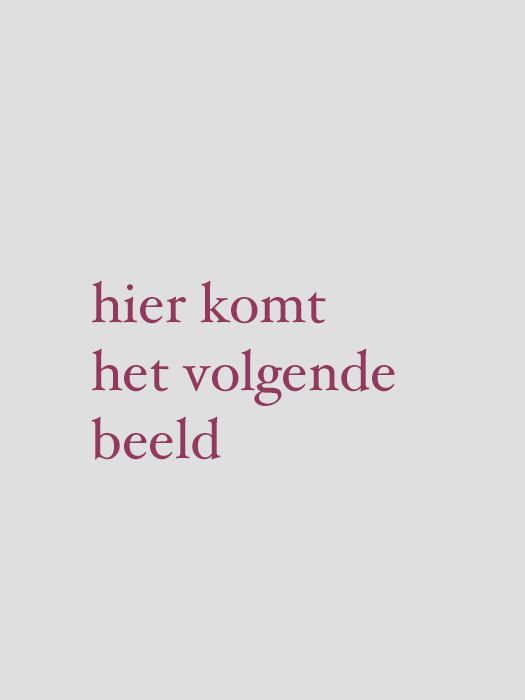 VOLGENDE-BEELD-700